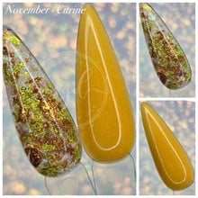 Load image into Gallery viewer, 2025 Birthstone Collection - .25 oz