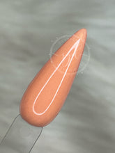 Load image into Gallery viewer, Coral Punch Trio