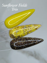 Load image into Gallery viewer, Sunflower Fields Trio