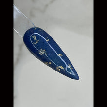 Load image into Gallery viewer, Blue Velvet