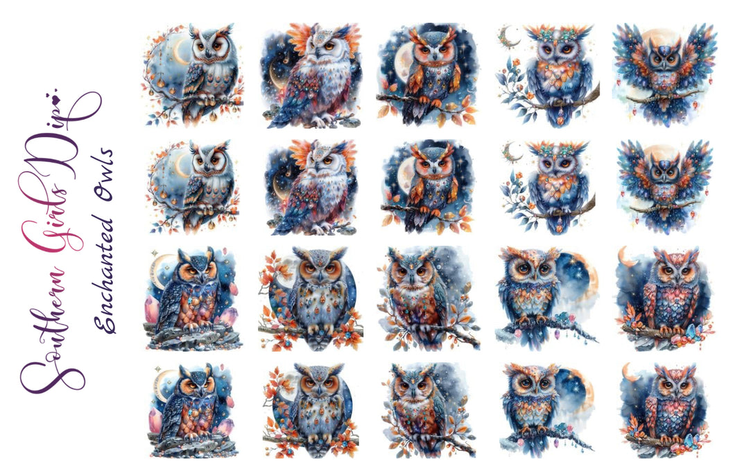 Enchanted Owls