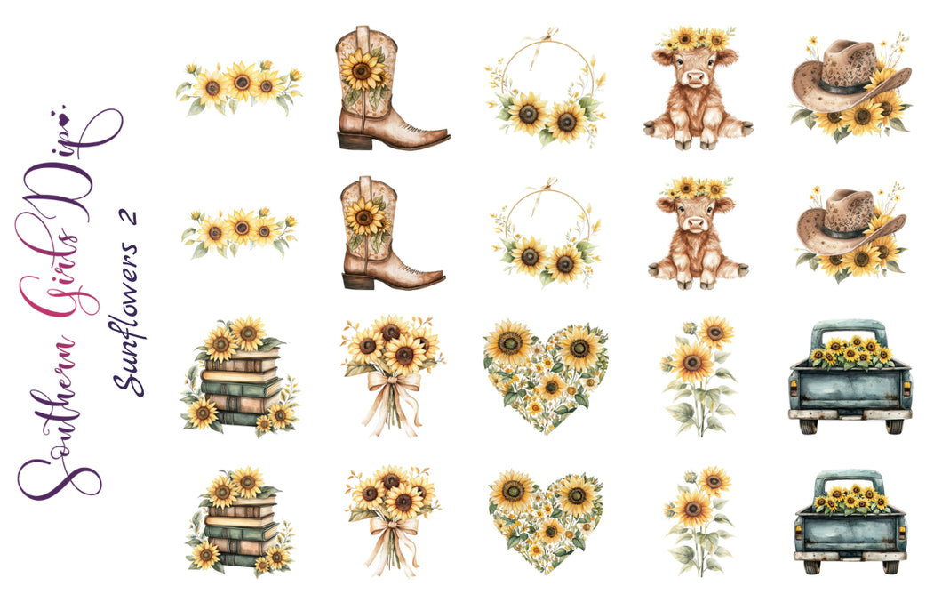 Sunflowers 2