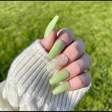 Load image into Gallery viewer, Princess Collection
