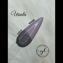 Load image into Gallery viewer, Villain Collection
